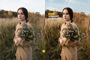 Professional Photoshop Actions, an Action Add-On by Willa (Thumbnail 3 of 12)