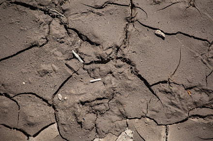Drying cracked soil, an Abstract Photo by Photo for You