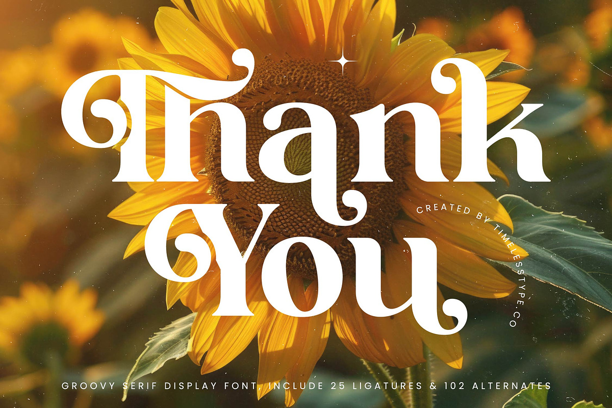 Shine Dailys Groovy Serif Font, a Serif Font by timelesstype.co (Photo 20 of 20)