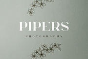Orphic Typeface - SVG + Solid fonts, a Serif Font by VP Fonts (Thumbnail 6 of 10)