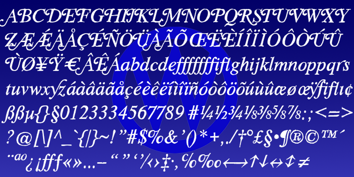 SoftTimes, a Serif Font by Wiescher-Design (Photo 4 of 4)