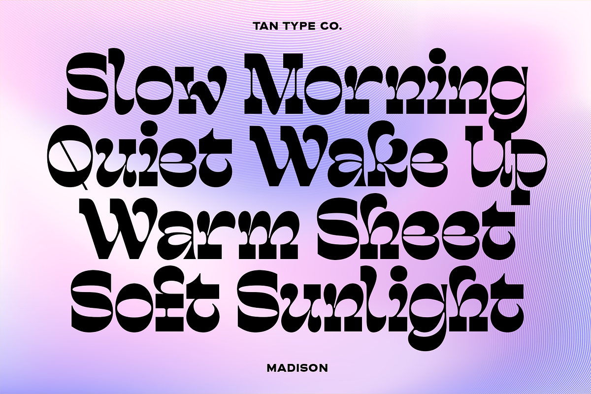 TAN - MADISON, a Font by TanType (Photo 4 of 10)