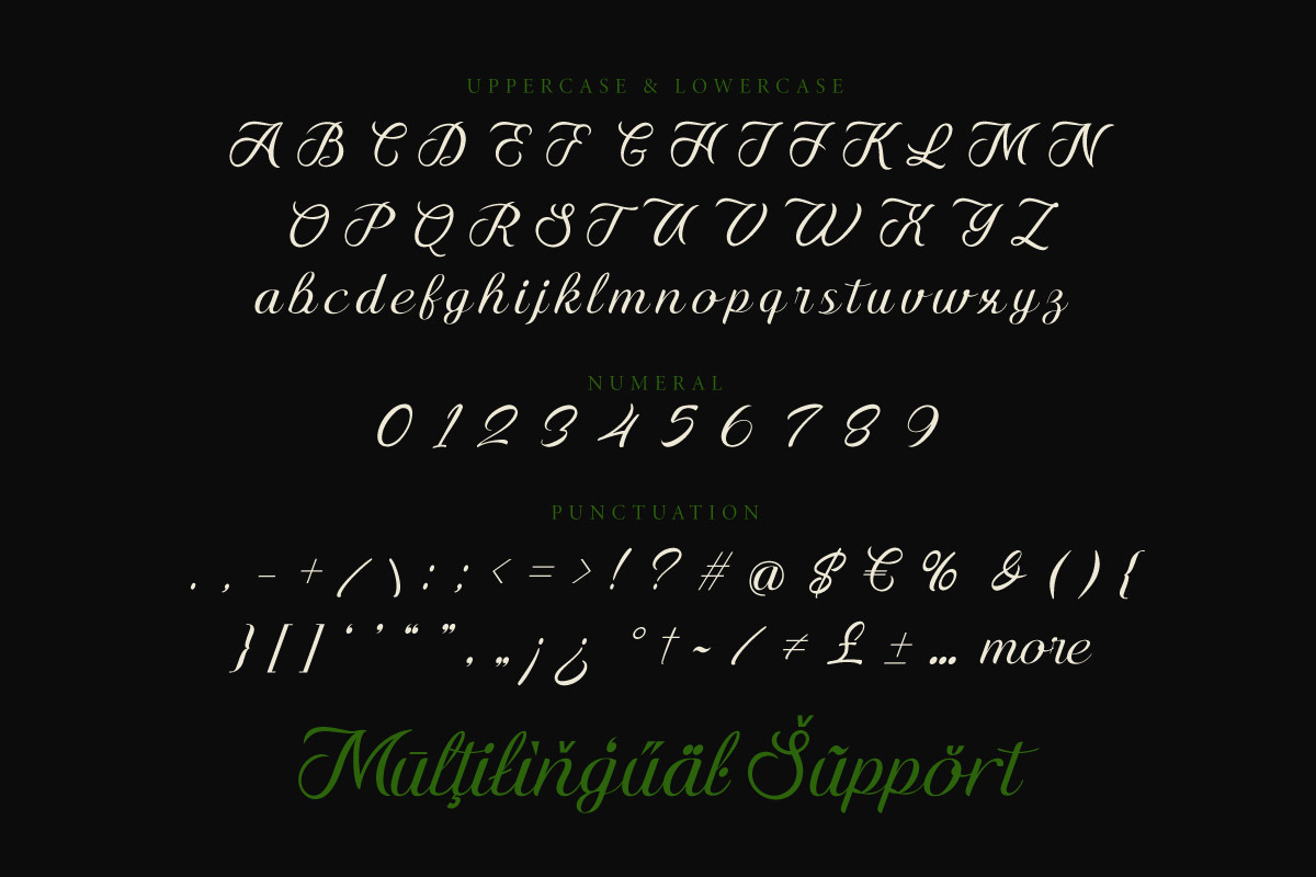 Adhun Mage - Script Font, a Script Font by twinstd (Photo 8 of 9)