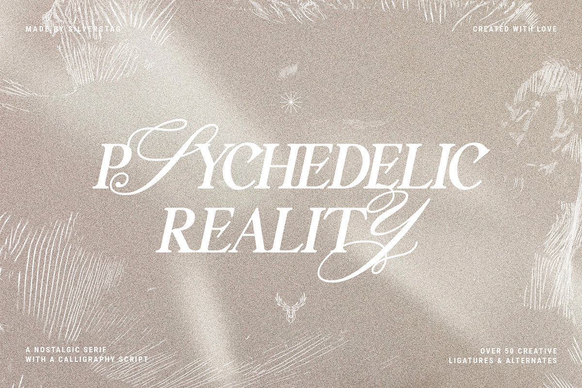 Silver Garden - Nostalgic Font Duo, a Serif Font by SilverStag Type Foundry (Photo 18 of 26)