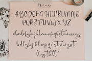 Milardo, a Script Font by Larin Type Co. (Thumbnail 7 of 7)