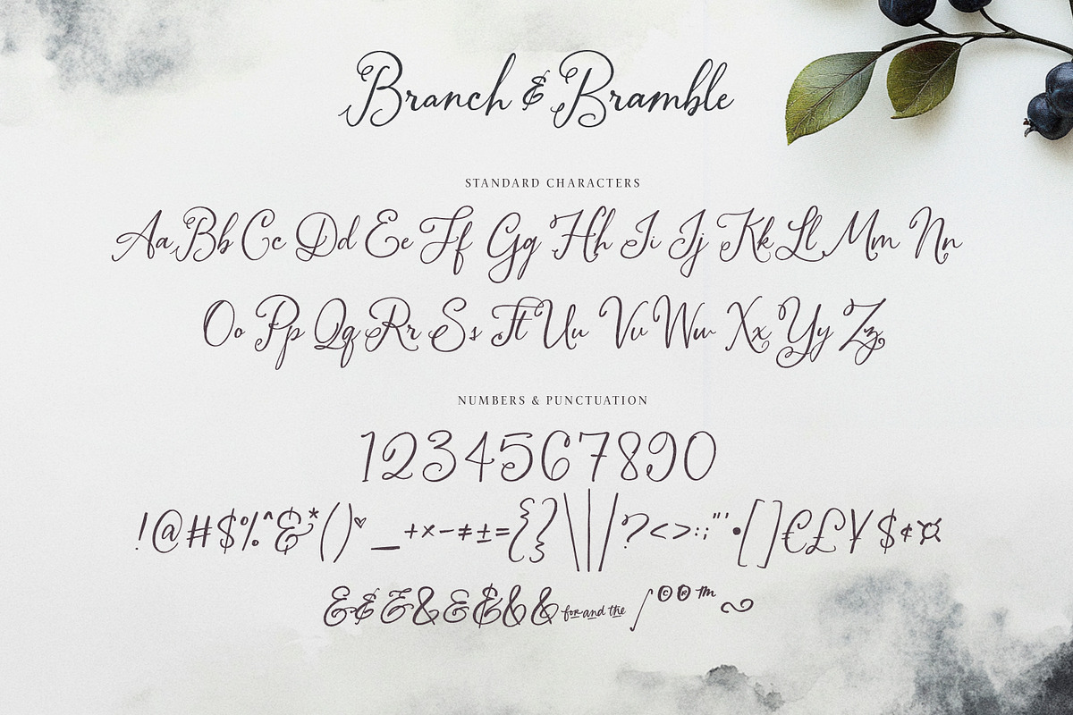 Branch & Bramble Calligraphy Font, a Script Font by Callie Rian & Co. (Photo 13 of 17)