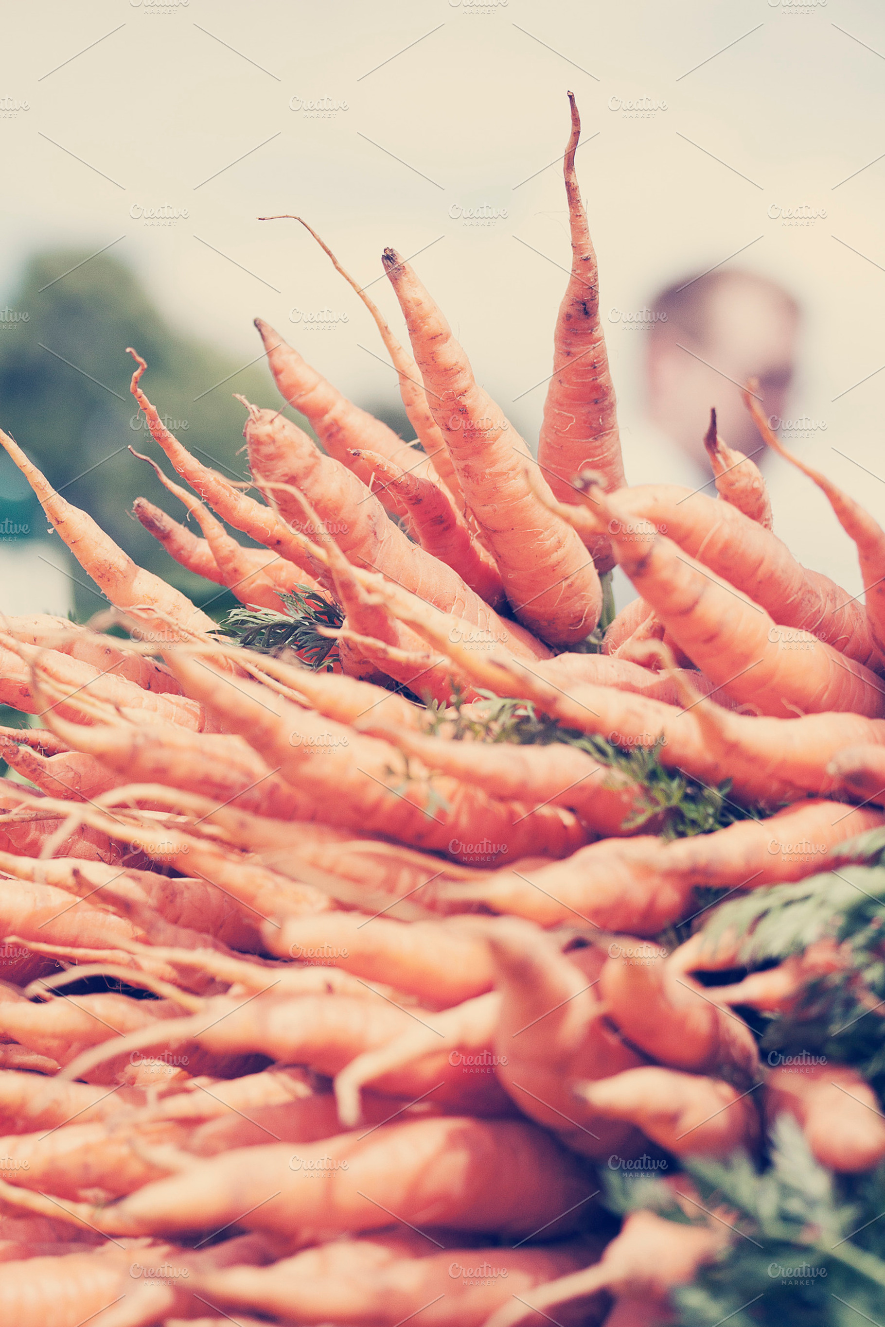 Organic Carrot