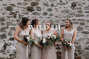 VINTAGE LIGHTROOM & MOBILE PRESET, an Action Add-On by Darling Josephine (Thumbnail 1 of 6)