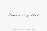 Ms. Augustine  Calligraphy Font, a Script Font by Calamar Studio (Thumbnail 13 of 15)