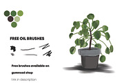 Premium Oil Brush In Photoshop Pack, a Brush Add-On by Design Unique (Thumbnail 4 of 7)