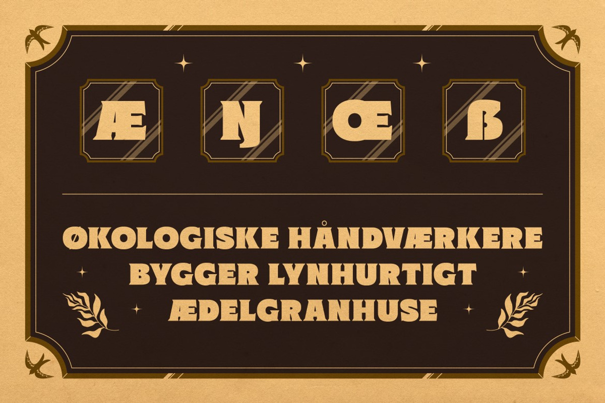 Expermif, a Serif Font by graphicook (Photo 5 of 10)