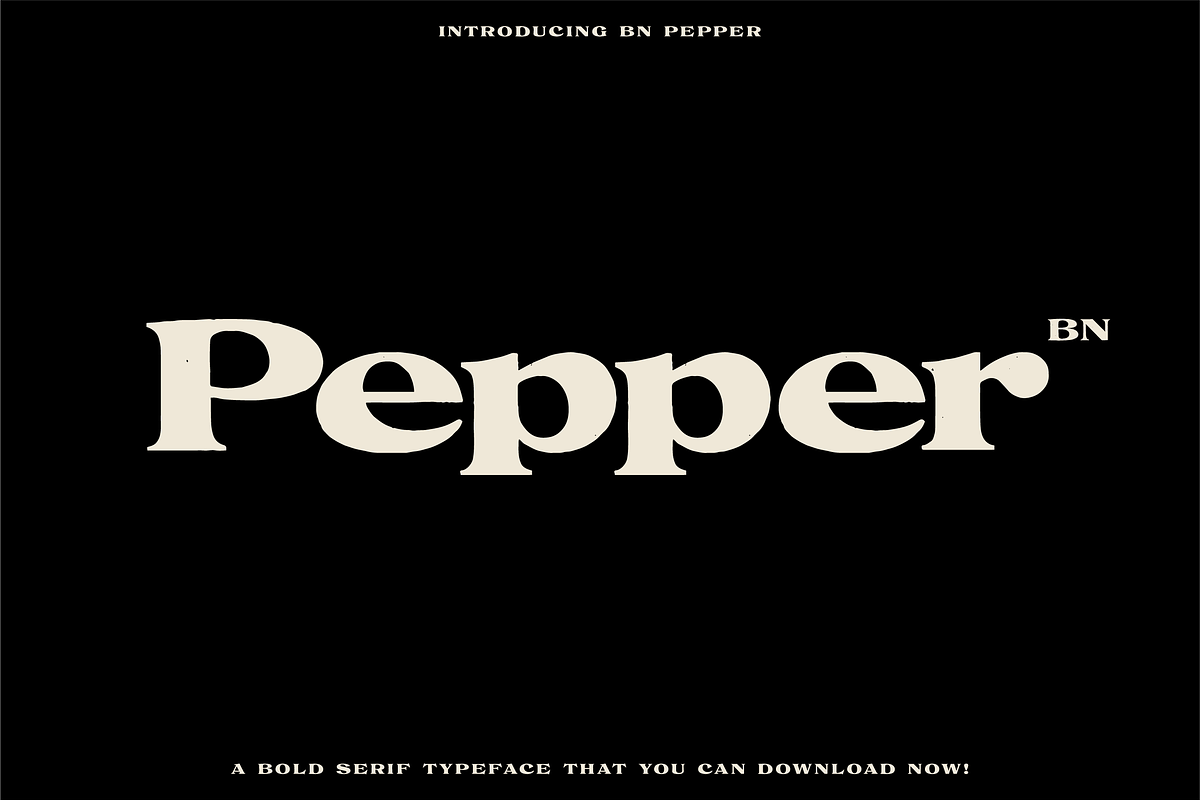 The Diverse Font Bundle, a Sans Serif Font by Bnick (Photo 26 of 34)