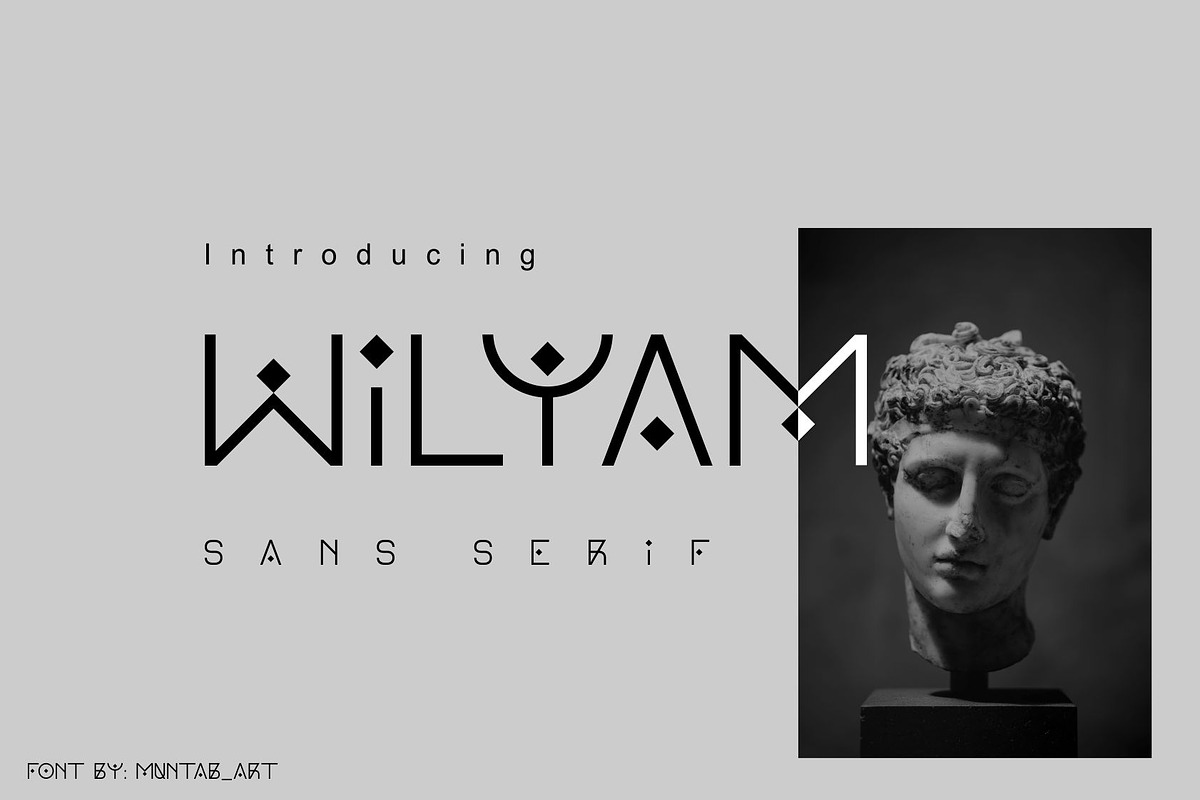 Wilyam | Modern Sans Serif font, a Sans Serif Font by Muntab_Art (Photo 1 of 6)