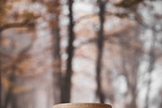 Jar Mockup, a Cups & Container Mockup by pmvch (Thumbnail 10 of 10)