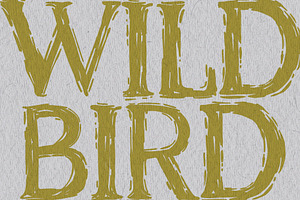 Wild Bird Hand Crafted Font