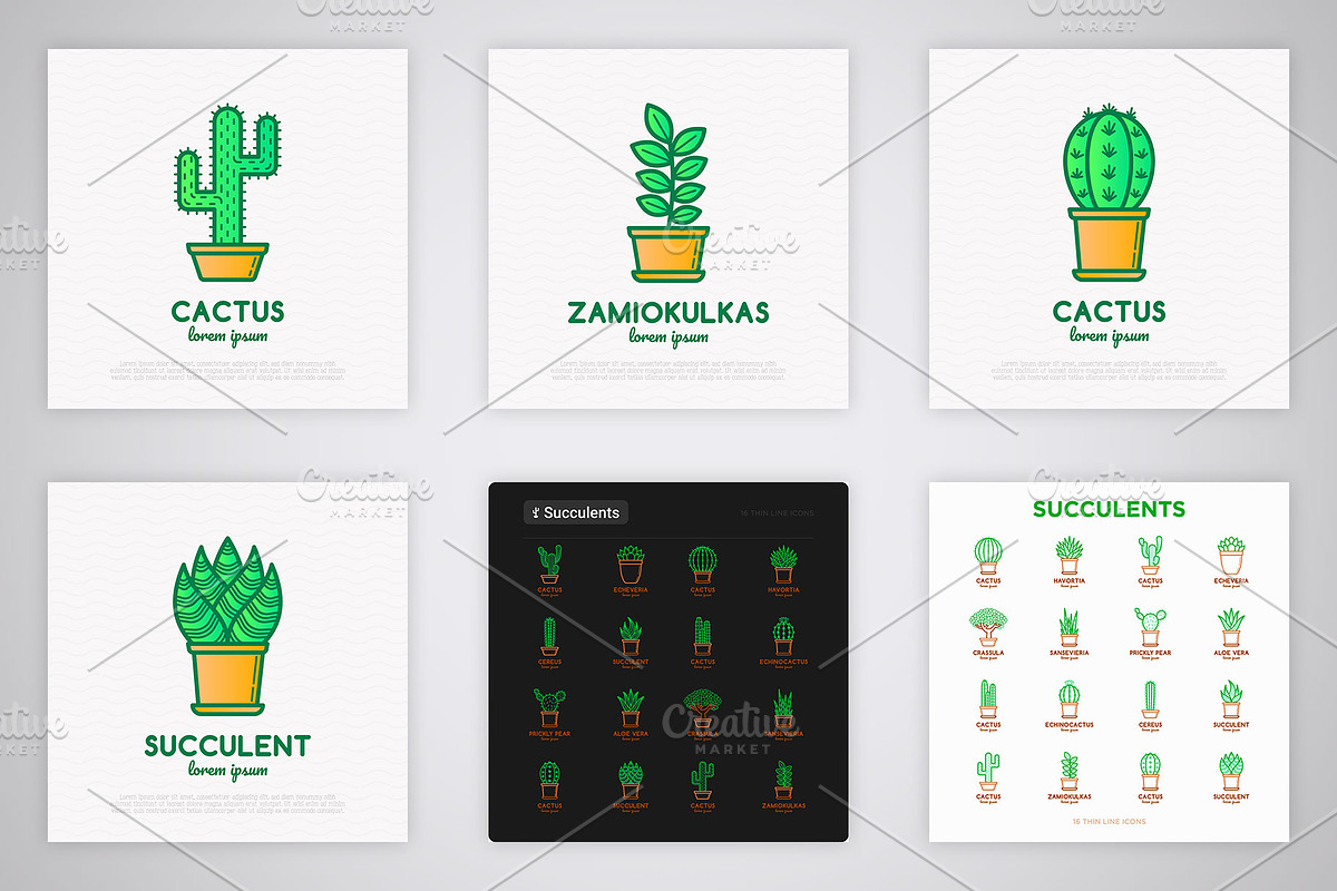Succulents | 16 Thin Line Icons, an Outline Icon by Alex Blogoodf (Photo 6 of 9)