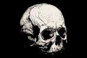 Skull, an Object Graphic by ArtOwl (Thumbnail 4 of 10)