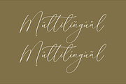 Homylane Dreamyntine Chic Calligraph, a Script Font by Storytype Studio (Thumbnail 11 of 15)