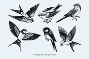 Vintage Spring Botanical Collection, a Seasonal Illustration by Yevheniia (Thumbnail 3 of 14)