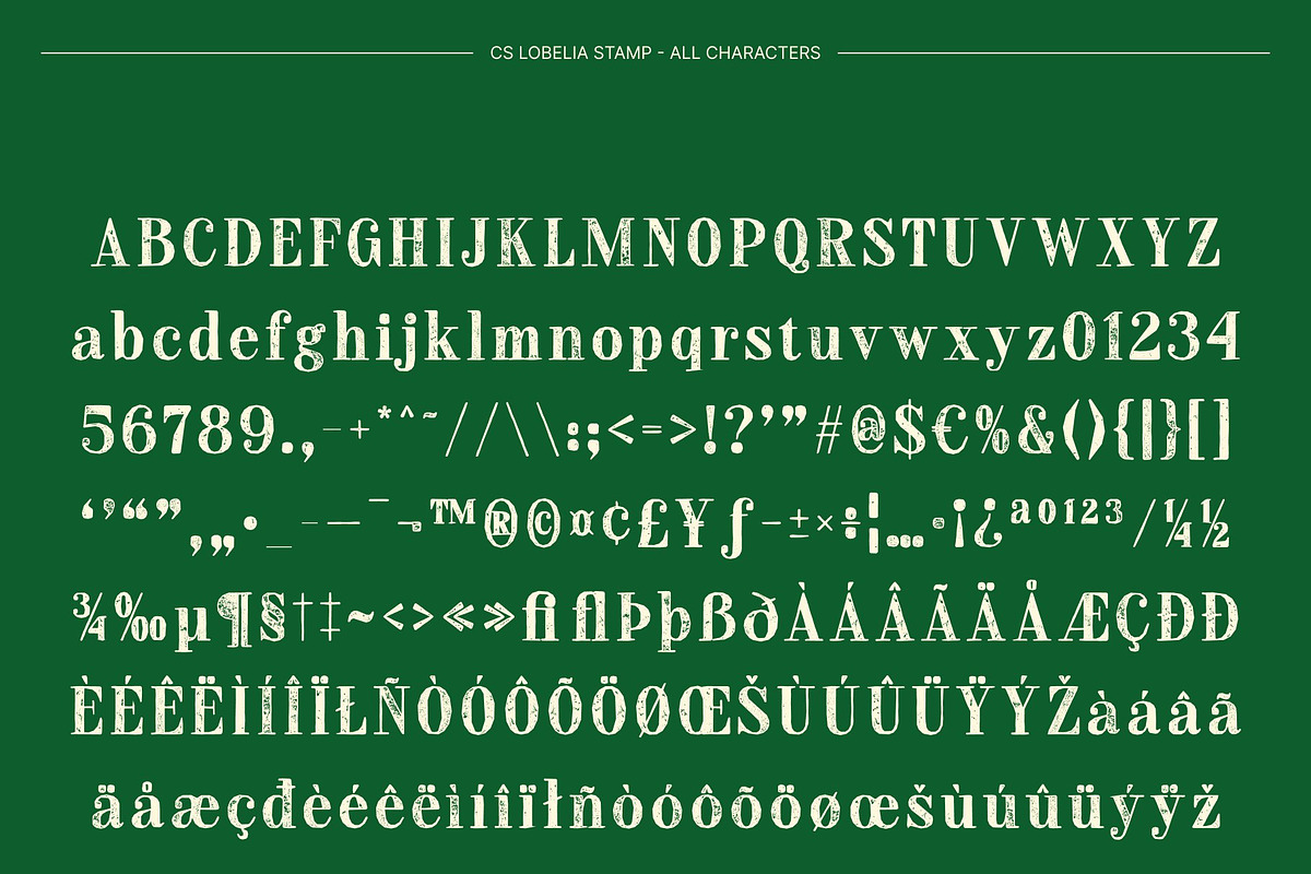 CS Lobelia Stamp, a Serif Font by Craft Supply Co. (Photo 8 of 8)