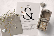 Ornate Ampersands, a Decorative Illustration by Maggie Stilwell Design (Thumbnail 2 of 13)