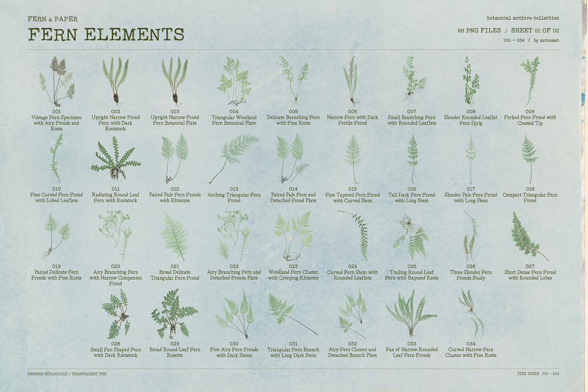 Fern & Paper Archive, a Background Graphic by nadispasibenko (Photo 5 of 10)
