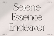 Enigma A Classy Ligatured Serif, a Serif Font by Prestige Artsy Studio (Thumbnail 9 of 10)