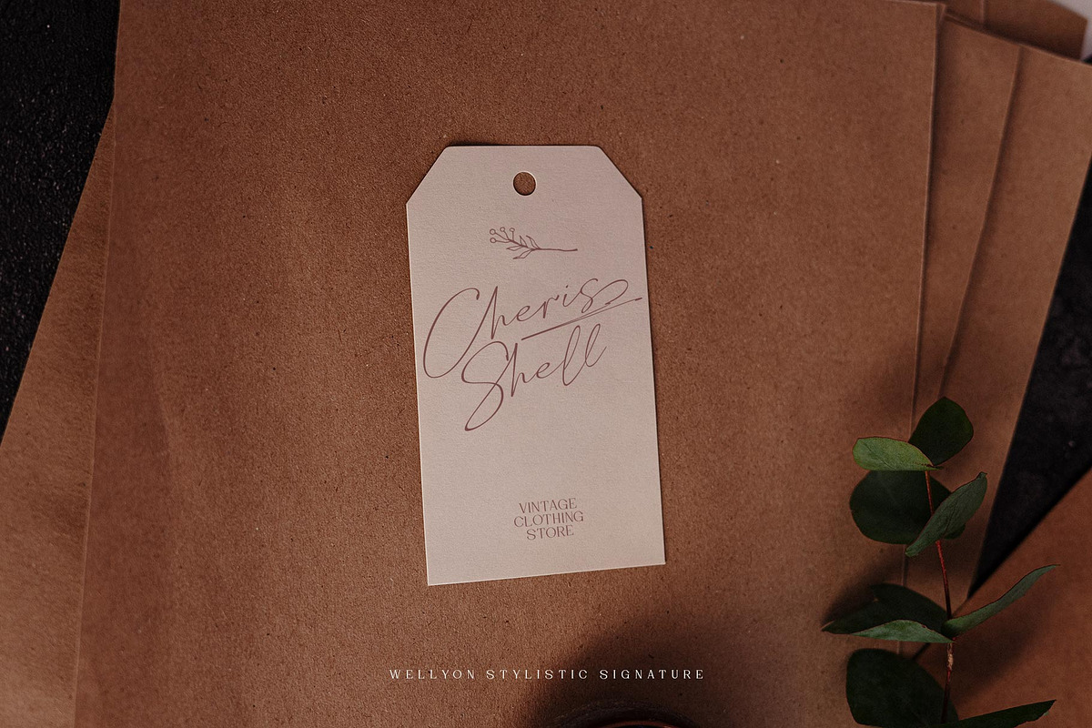 Wellyon Script signature, a Script Font by alit design (Photo 10 of 15)