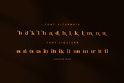 Stars Walk Elegant Serif Font, a Serif Font by Perfectype (Thumbnail 8 of 8)