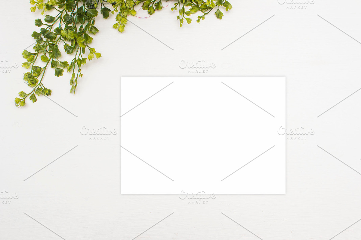 Modern Mockup, Clean Mockups, a Background Photo by BlueBooks (Photo 11 of 14)