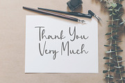 Zaniola Lavolce - Modern Calligraphy, a Script Font by Balpirick Studio (Thumbnail 7 of 7)