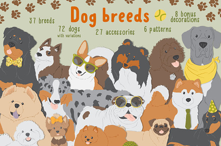 Dog breeds vector clipart