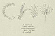 Botanical Procreate stamps, cliparts, a Brush Add-On by Veronika Gotovceva (Thumbnail 6 of 6)