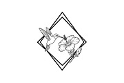 Hummingbird Flower Design Bundle, an Illustration by Designs_River (Thumbnail 10 of 31)