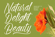 Alesteny Pojharu Handwritten Ink, a Script Font by stylishtype.co (Thumbnail 14 of 20)