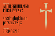 Theome – Serif Display Font, a Serif Font by MooneseyeType (Thumbnail 3 of 9)