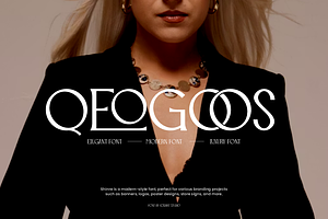 Qeogoos - Modern Logo Font, a Serif Font by Iqsiart Studio