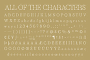 Rivania Disco, a Serif Font by Craft Supply Co. (Thumbnail 8 of 8)