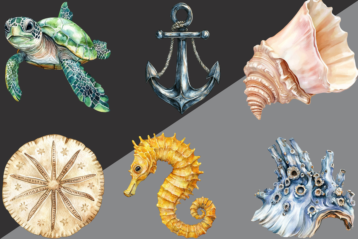 Undersea Watercolor Clipart, an Illustration by Black Bird Studio (Photo 5 of 6)