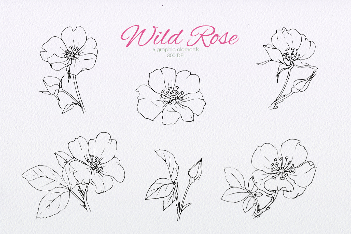 Wild Rose collection, an Illustration by oKOLOstyle (Photo 5 of 8)