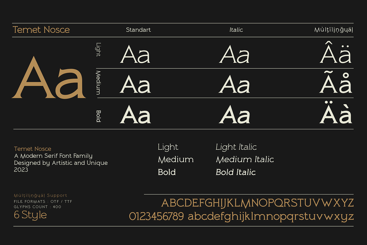 Temet Nosce - Serif font family, a Serif Font by Artistic & Unique (Photo 3 of 15)