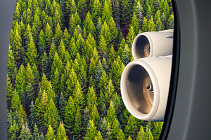 Forest trees through airplane window, a Nature Photo by BOOCYS