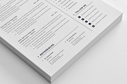 Resume CV (3 page), a Resume Template by Pxl_graphic (Thumbnail 5 of 7)
