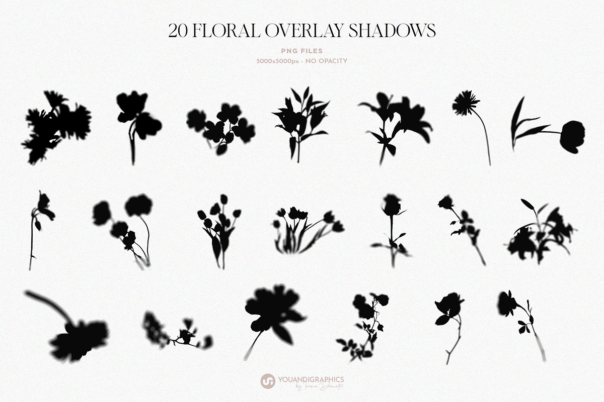 Floral Shadows Overlays, a Graphic by Youandigraphics (Photo 11 of 14)