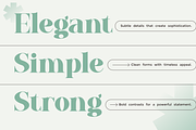 Baflen - Modern Serif Typeface, a Serif Font by MaikoHatta (Thumbnail 5 of 8)