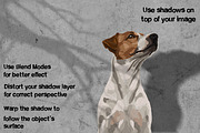 Tree shadow overlay stamps Procreate, a Brush Add-On by TheWhiteCatLab (Thumbnail 8 of 9)