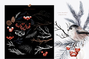 Huge Winter Woodland Scene Creator, an Animal Illustration by Busy May Studio (Thumbnail 5 of 14)