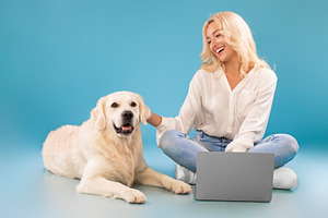 Young woman using pc sitting on floor stroking happy dog, a Photo by Prostock-Studio