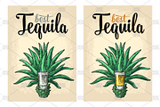 Tequila. Illustrations and posters, an Illustration by MoreVector (Thumbnail 9 of 11)