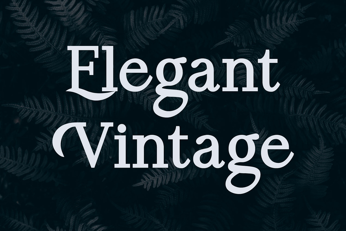 Koolvexa | A Modern Slab Serif, a Slab Serif Font by Qaratype (Photo 13 of 16)
